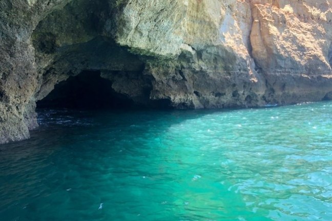 a close up of a large rock in a pool of water